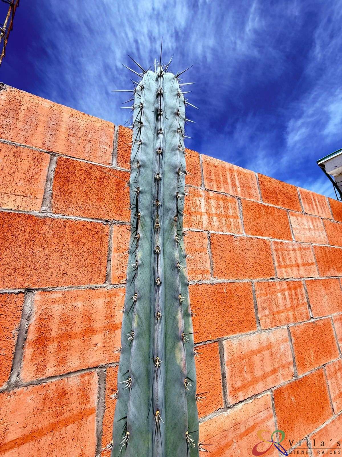 WhatsApp Image 2026-04-25 at 10.34.53 AM (1).jpg